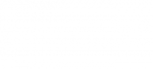 ICGS-SAR